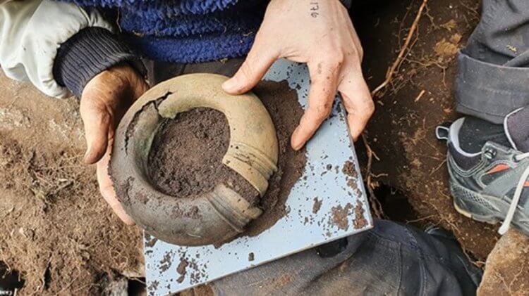 Сокровища бронзового века. Кольцо, якобы надевавшееся на ногу. Фото.