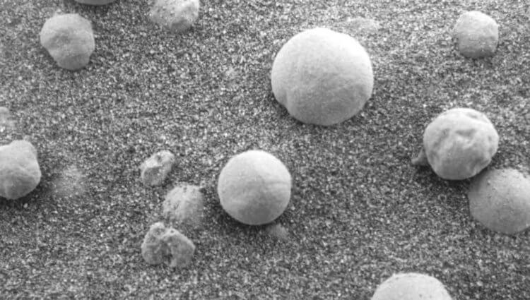 Потенциальная жизнь на Марсе. Таинственные образования на Марсе действительно похожи на грибы. Фото.
