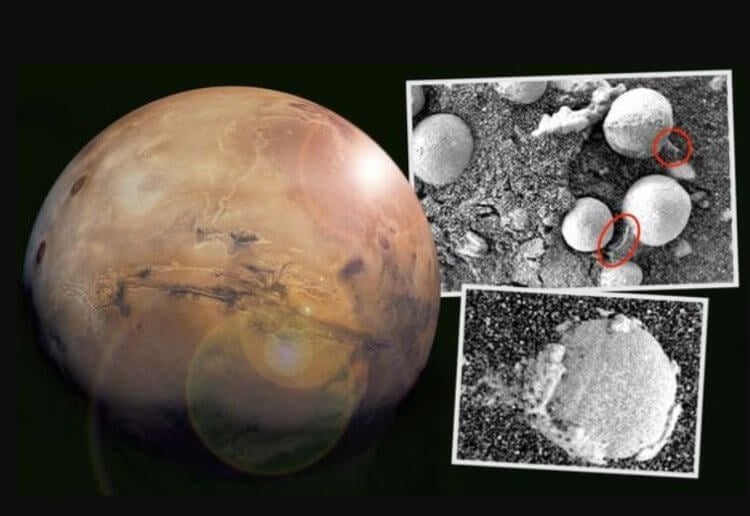 На фотографиях Марса обнаружены грибы и плесень. Правда ли это? Ученые считают, что нашли на Марсе грибы, но это может быть большой ошибкой. Фото.
