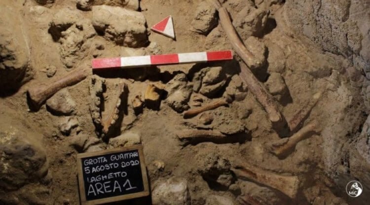 Останки неандертальцев в пещере. Место обнаружения останков. Фото.