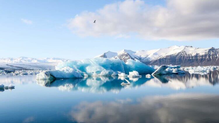 Теплая Арктика. Изменения в Арктике способны усилить экстремальные жару и наводнения в Северном полушарии. Фото.