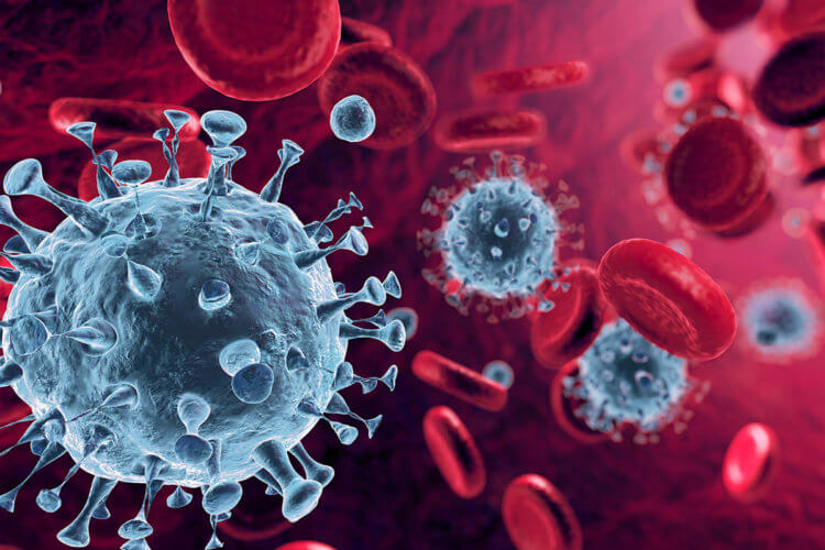Мутации коронавируса – что нужно знать? Коронавирус SARS-CoV-2 попадает в организм «взламывая» клетки с помощью шиповидного белка. Фото.