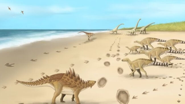 Ученые нашли окаменелые следы крупных динозавров. Почему это интересно? Фото.