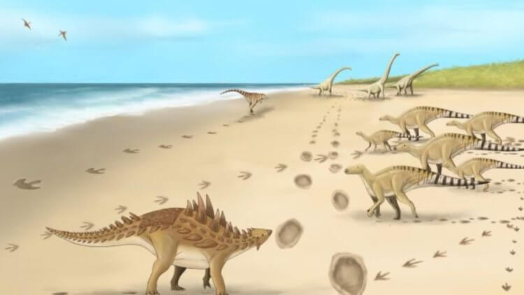 Ученые нашли окаменелые следы крупных динозавров. Почему это интересно? Гуляющие по побережью динозавры в представлении художника. Фото.