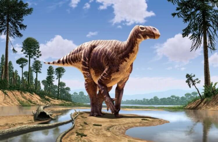 Динозавры в Великобритании. Игуанодоны выглядели так. Фото.