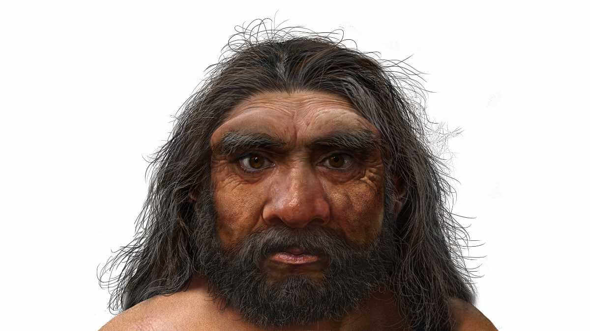 Так, предположительно, выглядел Homo longi. Милаха, правда? Фото.