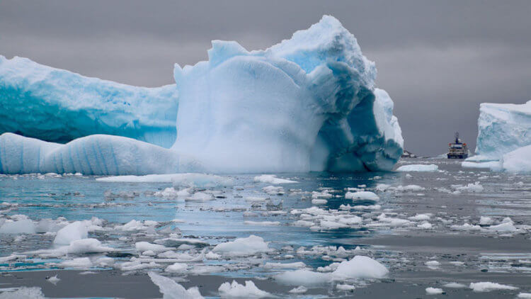 Что происходит с Арктическим льдом? С ростом температуры становится все меньше белого льда, который отражает солнечные лучи. Фото.