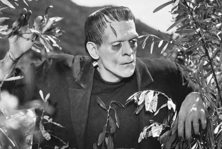 Жестокий эксперимент китайских ученых. Защитники природы сравнивают эксперимент с опытами доктора Франкенштейна. Фото.