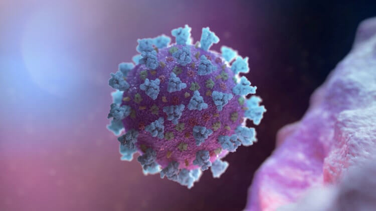 Эволюция коронавируса. Каждая частица SARS-CoV-2 покрыта шипами. Проникновение в клетку требует, чтобы клубообразные выступы фиксировались на белке на поверхности человеческой клетки, известном как ACE2, что облегчает проникновение вируса. Фото.