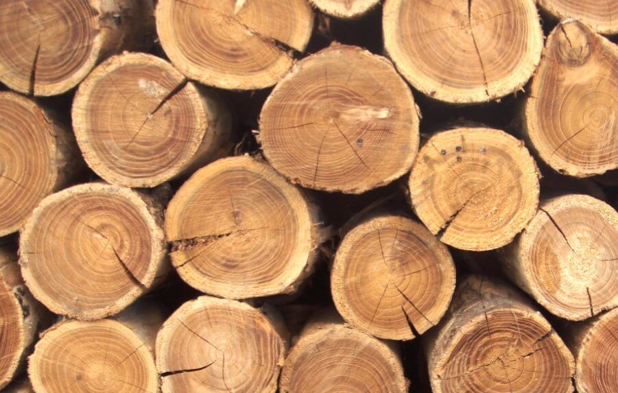 Древесина — недорогой, но очень капризный материал. Фото.