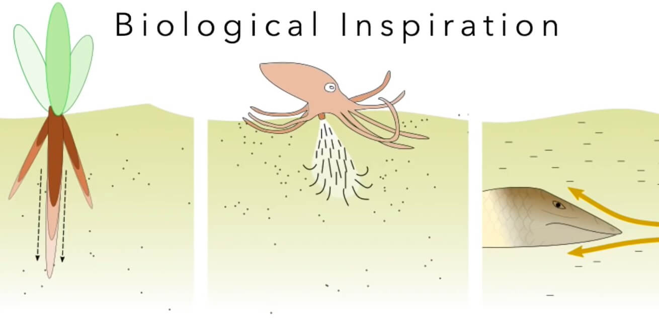 Конструкция робота-червя. При разработке робота ученые вдохновлялись особенностями животных. Фото.