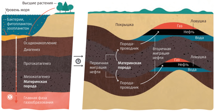 Две версии появления нефти. Схема расположения нефтяных ловушек в недрах Земли. Фото.