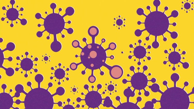 Можно ли определить каким вариантом коронавируса вы болели? Чем больше людей заражено, тем больше шансов, что вирус эволюционирует в процессе, известном как мутация. Фото.