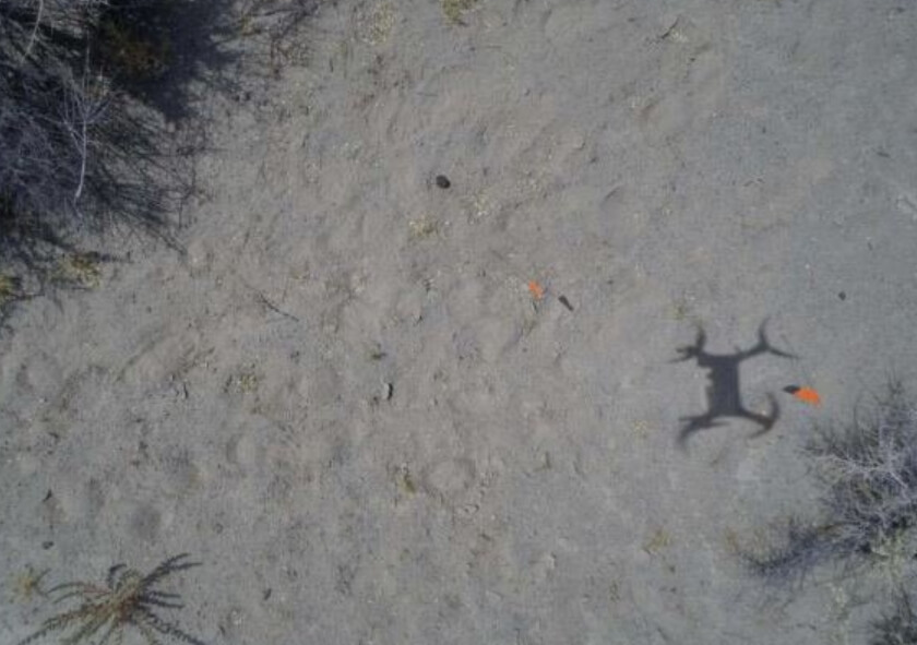 Фотография с испытаний новой технологии. На земле можно увидеть тень дрона. Фото.