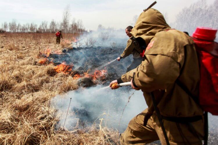 Изменение климата в России. Лесные пожары опустошают Сибирь, чем крайне обеспокоены ученые со всего мира. Фото.