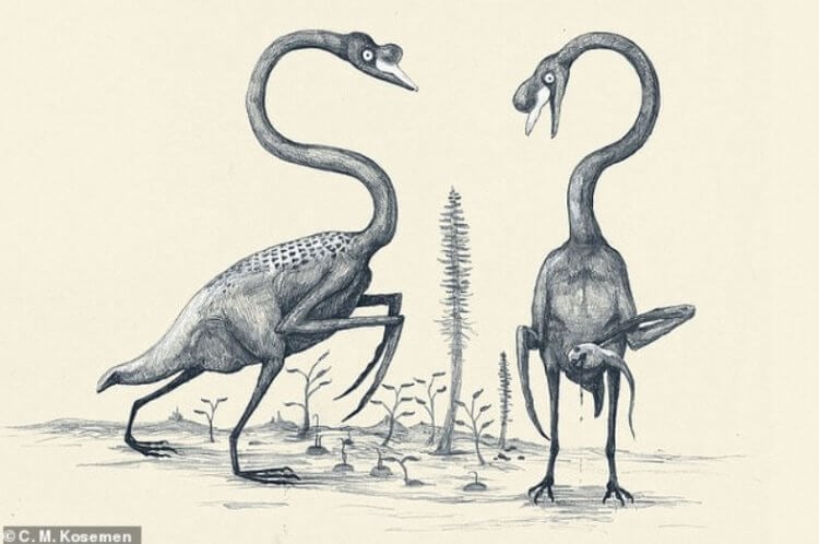 Как сильно ошибаются ученые? Так бы художники нарисовали лебедей, если бы они вымерли миллионы лет назад. Фото.