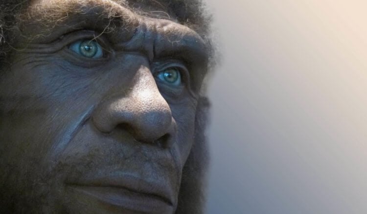 Где прятались неандертальцы во время ледникового периода? Неандертальцы выжили в Ледниковом периоде благодаря своей находчивости. Фото.