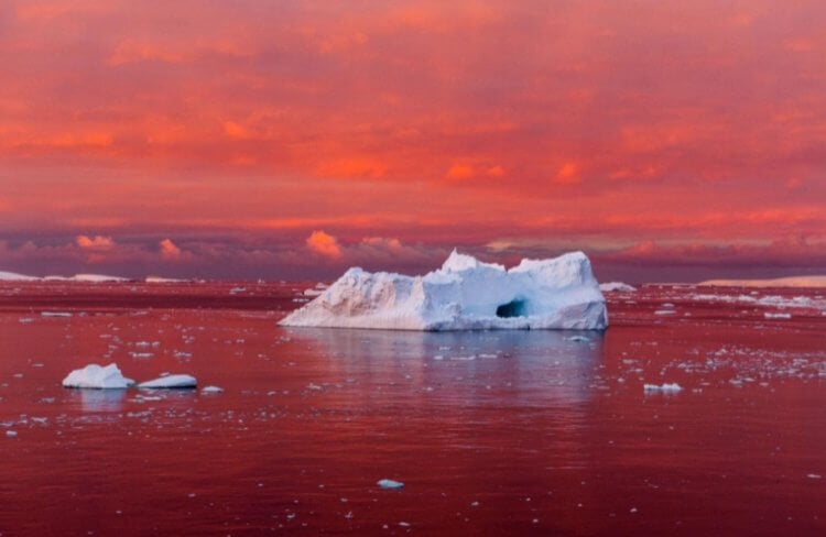 На Земле найдено место, где не живут даже бактерии. Самое безжизненное место находится в Антарктиде. Фото.