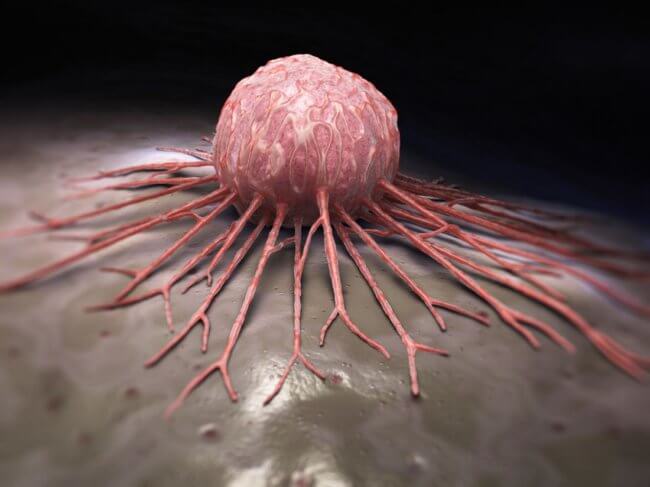 Лечение рака мРНК вакцинами поможет при агрессивных формах онкологии. Фото.