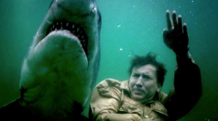 Случаи нападения акул на людей. Про этот случай в 2016 году был снят фильм «Крейсер» с Николасом Кейджем. Фото.