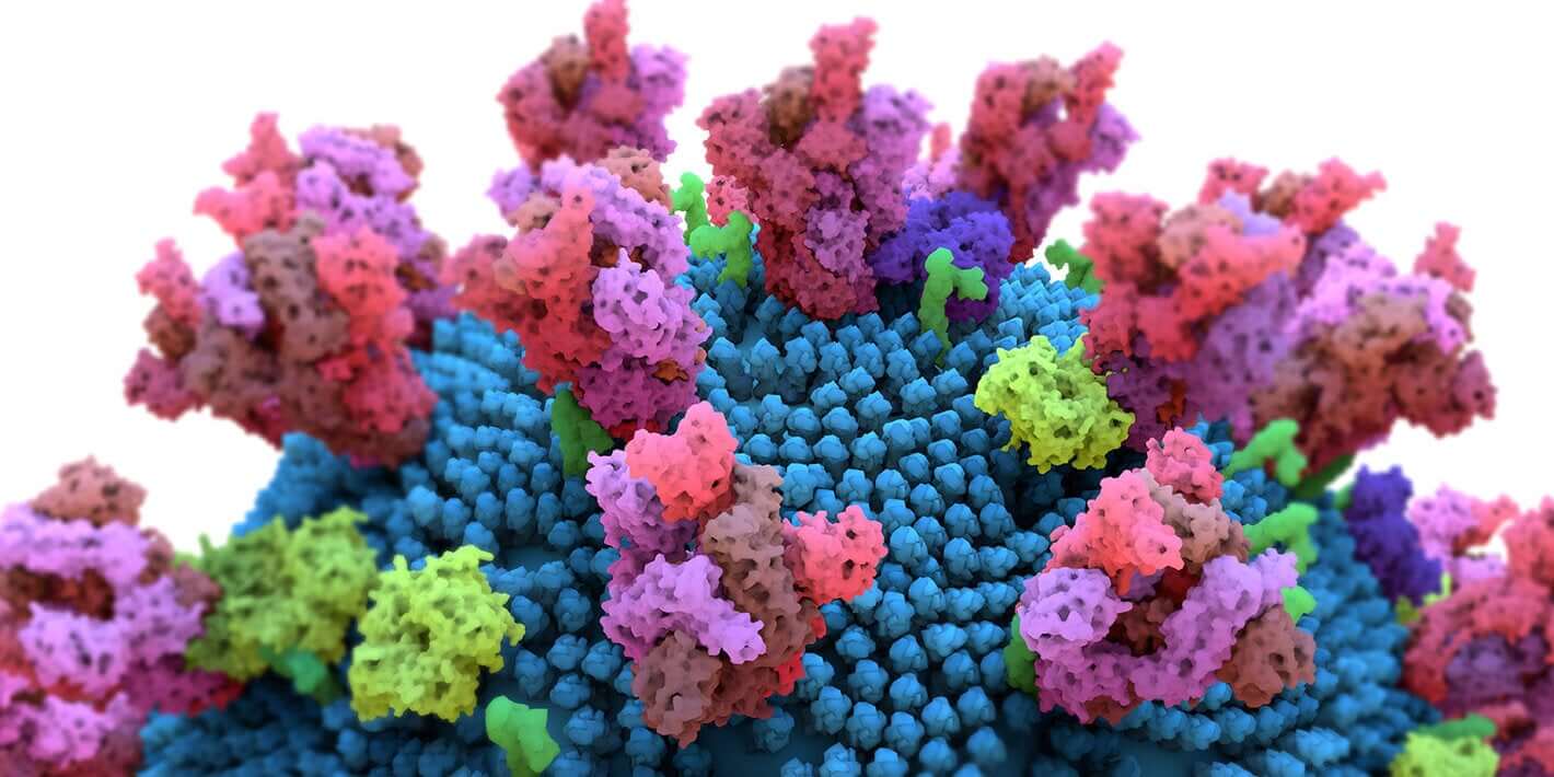 Как определить штамм COVID-19? Как понять, какой штамм подхватили вы или ваши близкие? Фото.
