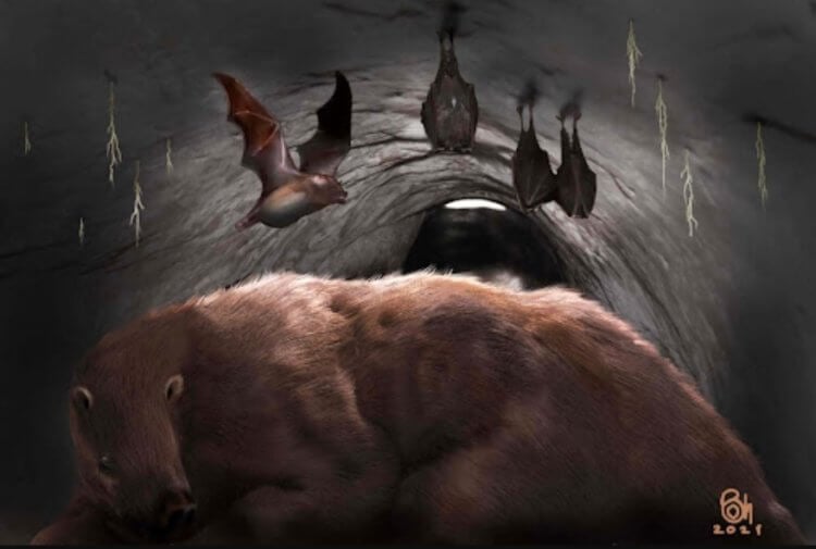 В аргентинской пещере найдены кости гигантской летучей мыши-вампира. Иллюстрация к новости: огромные летучие мыши-вампиры и спящий в пещере ленивец. Фото.