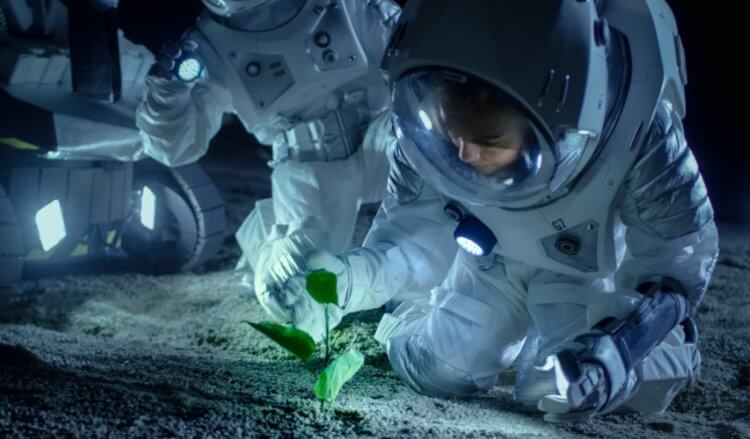 Освоение космоса человеком. На Марсе и других планетах растений пока не видно, так что при их освоении астронавтам придется заниматься садоводством. Фото.
