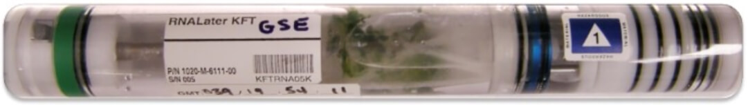 Капсула с растениями для проведения эксперимента. Фото.