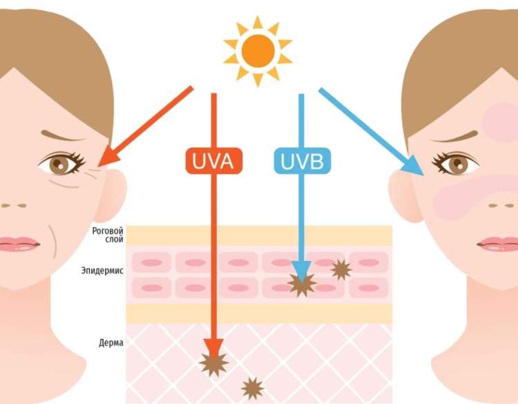 Солнцезащитный крем нужен коже только в солнечные дни. Солнечные лучи UVA наносят вред коже даже в пасмурную погоду. Фото.