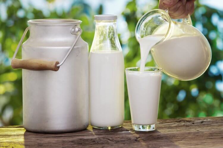 Обезжиренные молочные продукты полезней необезжиренных. Молоко естественной жирности (такое, каким его создала природа) полезней, чем обезжиренное. Фото.