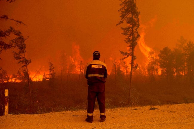Какие климатические последствия повлекут за собой пожары в Сибири? Фото.