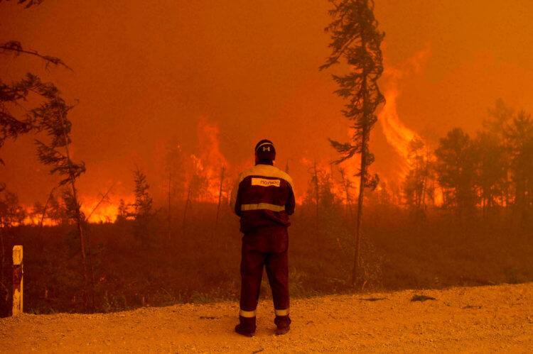 Какие климатические последствия повлекут за собой пожары в Сибири? Настолько масштабных пожаров, как в 2021 году в Якутии, человечество еще не видело. Фото.