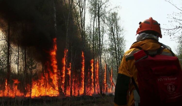 Как разрушается Земля? Пожары в Якутии в 2021 году. Фото.