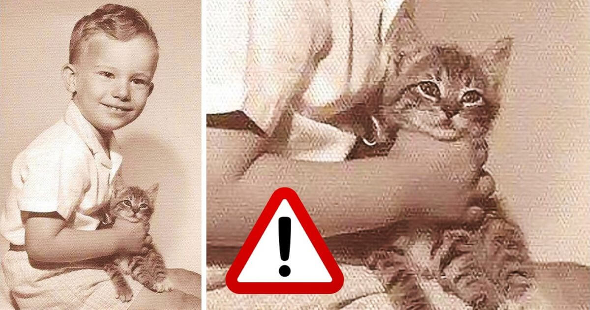 Жестокое обращение с животными ради удовольствия — верный признак психопатии. Фото.