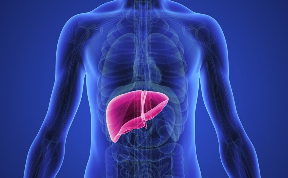 При злоупотреблении фруктами может сильно пострадать печень. Фото.