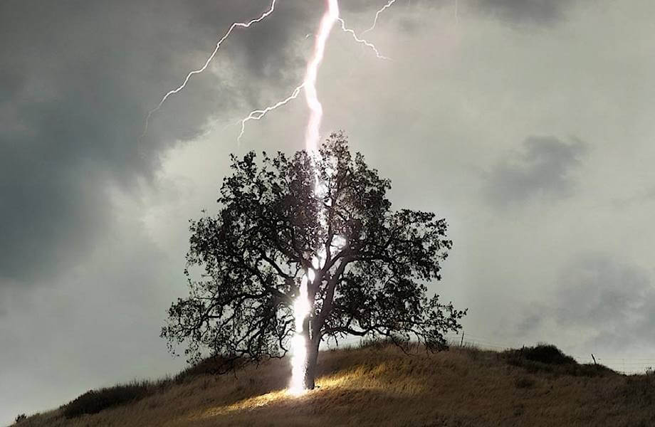 Молния стремится к ближайшей точке наибольшего притяжения. Фото.