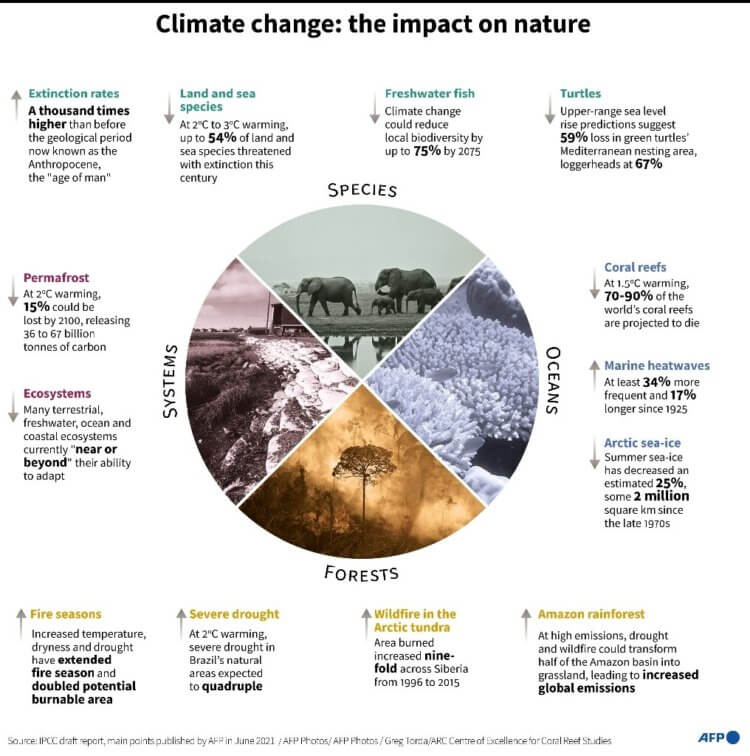 Выход из кризиса. Карта мира, показывающая эффект изменения климата в 2021 год на различные экосистемы планеты. Фото.