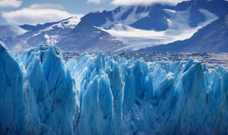 Научный парадокс — ледники на северо-западе Тихого океана заселены червями. Ледники не такие безжизненные, как может показаться на первый взгляд — в них живет множество организмов, наиболее приметными среди которых являются ледяные черви. Фото.