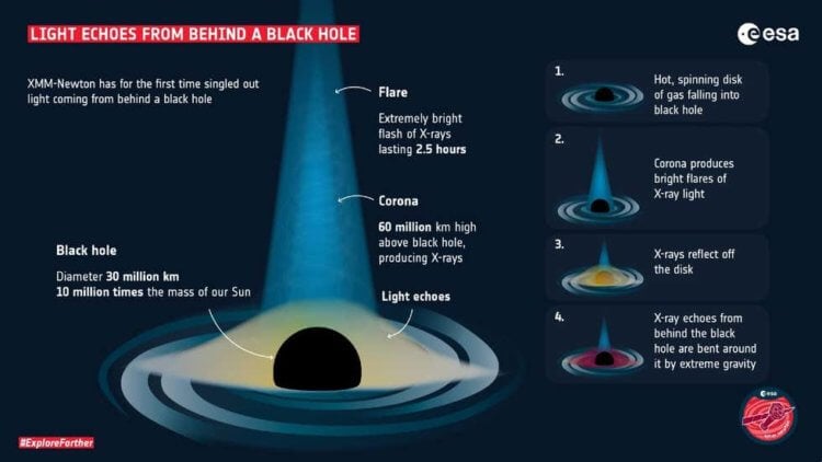Космические монстры. Черная дыра состоит из трех частей. Изображение: ESA. Фото.