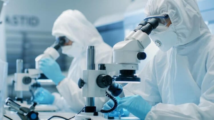 Cамая страшная болезнь: почему Франция приостановила изучение прионов?