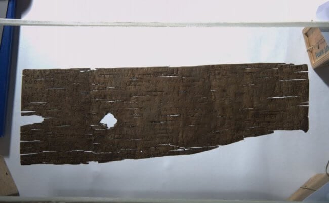 В России найдена древняя берестяная грамота с загадочным предупреждением. Фото.