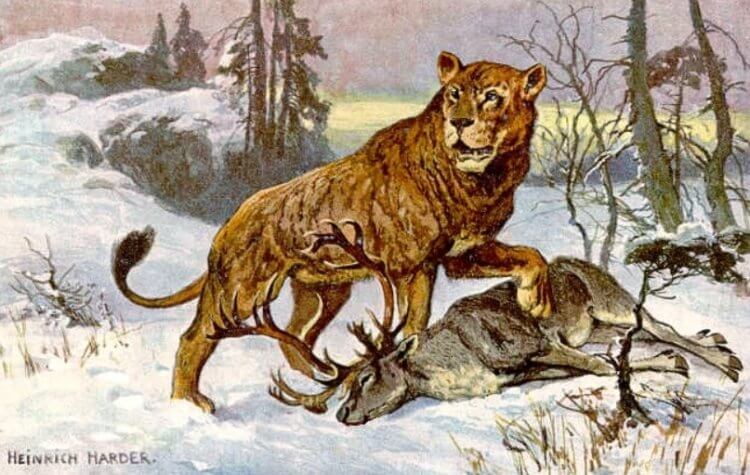 Какими были древние львы? Пещерный лев в представлении художника. Фото.