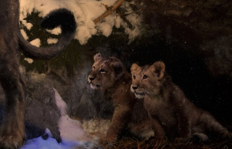 Какими были древние львы? Древние львята могли выглядеть так. Фото.