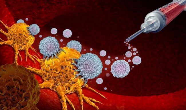 Ученые нашли способ как научить иммунитет бороться с раком. Фото.
