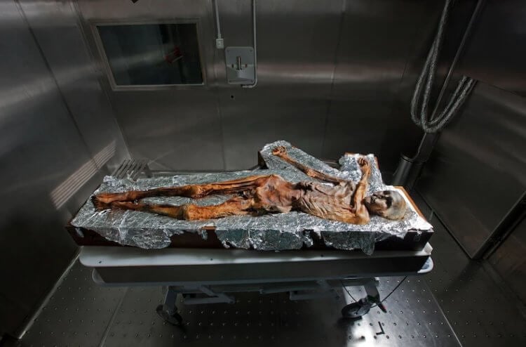 Ледяная мумия Эци: что стало известно спустя 30 лет с момента ее находки
