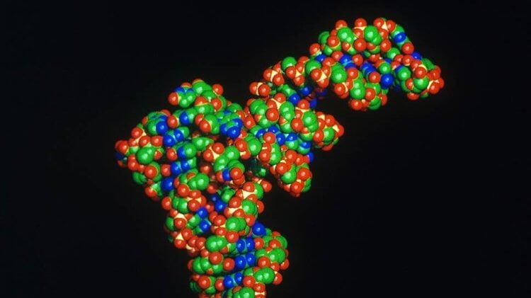 Такого вы точно не ожидали: Черви нематоды делятся «воспоминаниями» обмениваясь РНК