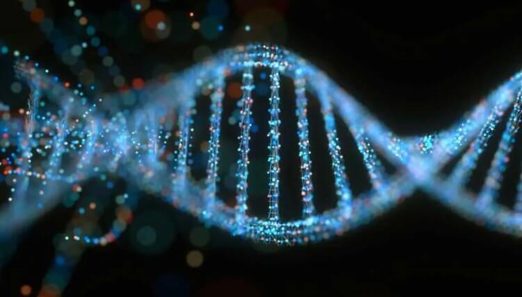 Генетическая мутация может продлить жизнь на 23%. В ходе научной работы ученые создали червей-мутантов, которые живут дольше остальных. Фото.
