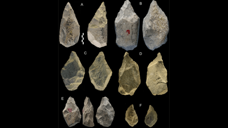 Инструменты неандертальцев. Каменные инструменты, найденные в Кастель-ди-Гвидо. Фото.