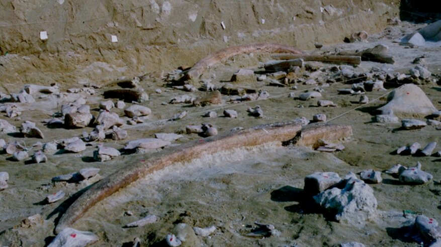 Место раскопок в Кастель-ди-Гвидо. Фото.