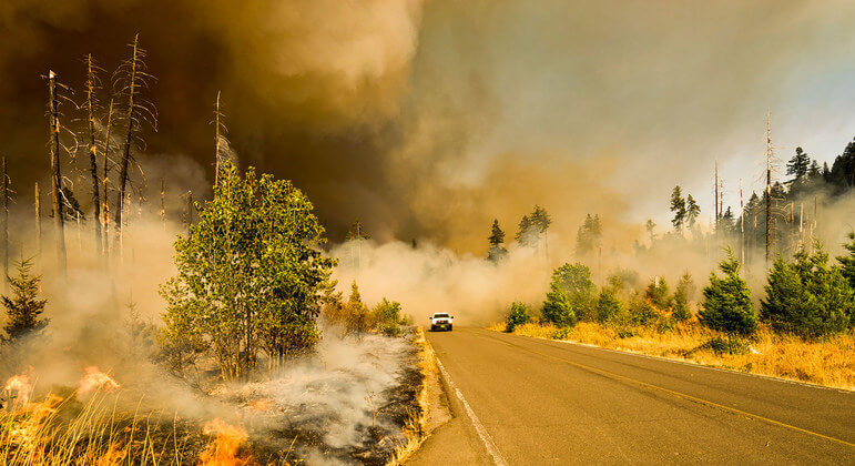 В результате загрязнения воздуха ежегодно умирает примерно столько же людей, сколько и от курения. Фото.